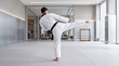 © Setiadi - Martial arts athlete practicing a high kick in a dojo setting, showcasing discipline and physical prowess