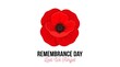 © MARJIA - Vibrant red poppy flower illustration with remembrance day text on white background