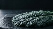 © Zukop - Fresh organic green kale leaf with water droplets on dark stone background