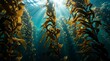 © Awan - Stunning Underwater Kelp Forest with Bright Sunlight Rays Penetrating Through the Deep Blue Ocean Water Surface