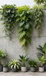 © Galeno - wide shot concrete wall covered lush vertical greenery showcasing variety modern potted plants bright natural light