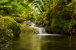 © Vincenzo - Cascate Madeira