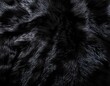 © Genevieve - black fur background