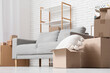 © Pixel-Shot - Moving house and relocation concept, cardboard boxes and sofa in a new apartment living room during home renovation or real estate property transition