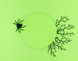 © Maja  - Black tree brunches and spider next to circle frame on a pastel green background. Overhead view of Halloween rendering decor background with copy space.