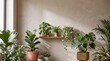 © Vivid Pixel - Sunlit indoor houseplant collection on wooden shelf and floor pots against beige wall in cozy modern home interior with lush tropical foliage