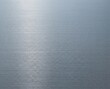 © KomangPutra - Minimal brushed titanium metal surface, fine horizontal texture