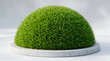 © Badal Ahmed - Perfectly rounded dome of lush green grass on a solid concrete base with landscape design grass surface grass ball design element plant life