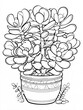 © valeo5 - succulent plant in ceramic pot coloring page black and white line art  hand drawn botanical illustration of jade plant and rosette succulents houseplant outline for adult coloring book print