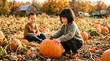 © Jon Stock - Two young children exploring a pumpkin patch together during a sunny autumn farm visit