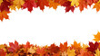 © Ophelia - Vibrant red and orange maple leaves arranged in a top and bottom border frame