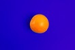 © Westend61 - A fresh orange sits on a blue background