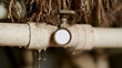 © A2Z AI  - Water leak from old plastic pipes with metal valve and tree roots underground, plumbing problem concept, repair work and maintenance scene