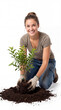 © ENDRY - Smiling woman plants young tree.