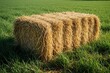 © miss irine - Rectangular hay bale sits in green grass field. Dry straw fodder harvested for livestock feed on rural farm. Close up texture of golden hay stack in sunny countryside meadow during summer harvest