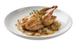 © Dan - Whole roasted quail with pearl onions and thyme, isolated on transparent background
