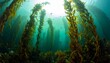 © Wellness Nature - Sunlight filtering through a lush underwater kelp forest ecosystem in