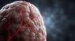 © Ahsan - Human brain tissue macroscopic macro render, organic organ texture with blood vessels, medical neurology science background