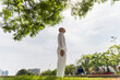 © Westend61 - A man stands tall and looks up at a large tree in an urban park