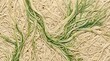 © MNopal - Seamless macro background of organic root system with green veins