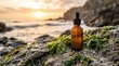 © Seentyr Str - Amber glass dropper bottle on wet coastal rocks with seaweed and sunset ocean