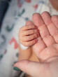 © Cavan Images - Tiny newborn baby hand gently holds mother's finger