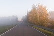 © TomashRyś - Nastrojowe ujęcie perspektywiczne wiejskiej drogi ginącej w gęstej, porannej mgle. Złociste, jesienne drzewa oświetlone wschodzącym słońcem kontrastują z mroczną, zamgloną osią jezdni