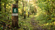 © ViskBx - Wooden trail marker post with a hiker symbol along a narrow forest path in the woods
