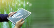 © wasan - Farmer holding a digital tablet with smart farming and agriculture technology icons. Concept of precision crop management, IoT monitoring, sustainable farming, and modern agricultural technology.