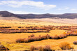 © Cavan Images - Farm land in a rural area of Montana near the town of Polaris