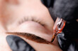 © Parilov - Closeup eyebrow microblading detail showing pigment being placed on skin, permanent cosmetic procedure macro