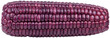 © Crysta - Organic purple corn cob isolated on black background