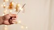 © Running opossum - hand holding sparkler with glowing lights in background celebrating festive moment