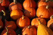 © Yuliia - Full frame background of ripe bright orange hokkaido pumpkins