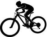 Mountain Bike Rider Graphic