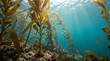© Nambulog - Sunlit kelp forest beneath clear ocean water with light rays