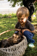 © Ivan Haidutski/Stocksy - Toddler petting cat resting in wicker basket in garden