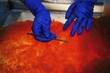 © Thomas Sbampato/imageBROKER - Salmon caviar, Russian specialty, bad salmon eggs  are sorted out by hand, Kamchatka Peninsula, Russia