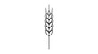 © Sayan - Black outline vector icon of a single upright rye ear with overlapping pointed grains and long awns on a straight stem drawn in thin lines centered in tall narrow vertical arrangement