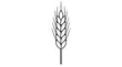 © Benjamin - Bold black line art illustration of a single upright wheat ear with overlapping grains and thin awns tapering upward drawn with bold outlines in vertical centered arrangement showing natural symmetry