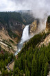 © Dario - Grand Canyon of the Yellowstone