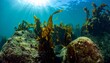 © Shahrimi - Golden kelp forest swaying in clear blue ocean water with sunlight streaming through from the surface above.
