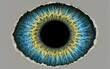 © YiuCheung - A vivid blue and yellow eye with textured, rugged edges against a neutral gray background.