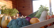 © WavebreakMediaMicro - Crate of fresh fruits and vegetables in sunny kitchen