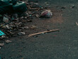 © Tavan - Pile of garbage and litter on the edge of a dark asphalt road, scattered plastic wrappers, dry leaves and wood debris, urban pollution scene with empty copy space on the left