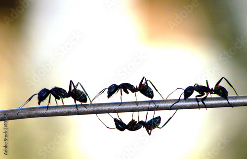 fourmies en promenade © Julien de Cadoudal