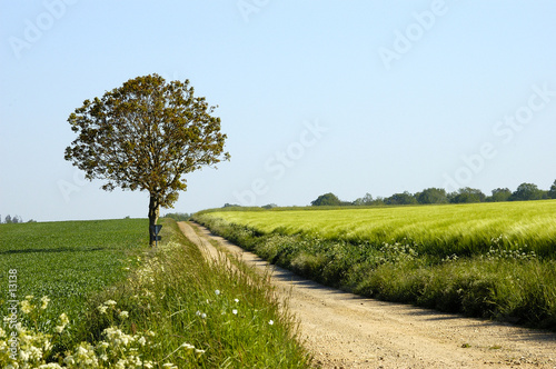 paysage de la vienne