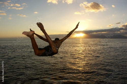 plongeon photo