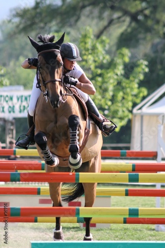 concours complet d'équitation