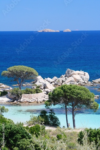 tamariccio